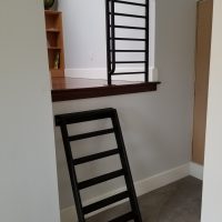 Black metal ladder leads up to a small loft area with a safety railing and a bookshelf in a carpeted room.