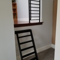 Black metal ladder leads up to a small loft area with a safety railing and a bookshelf in a carpeted room.
